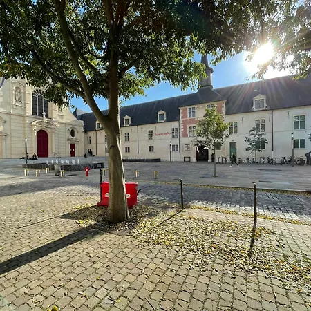 La Cour Barbatre Calme 公寓 兰斯